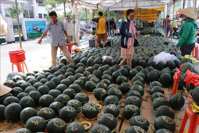 Trong ảnh : Gian hàng bán dưa hấu được khắc chữ bằng máy tính tại chợ dưa thành phố Cao Lãnh
Ảnh : Nguyễn Văn Trí - TTXVN