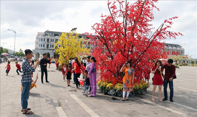 Trong ảnh: Du khách trên đường hoa xuân Khu đô thị Phú Cường, TP. Rạch Giá (Kiên Giang). Ảnh: Lê Huy Hải - TTXVN
 