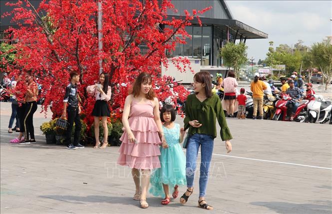 Trong ảnh: Du khách trên đường hoa xuân Khu đô thị Phú Cường, TP. Rạch Giá (Kiên Giang). Ảnh: Lê Huy Hải - TTXVN