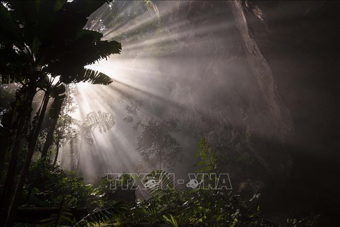 Trong ảnh: Kích thước khổng lồ của hang cũng giúp cho các đám mây hình thành ngay trong hang từ các mạch sông ngầm. Ảnh: TTXVN
