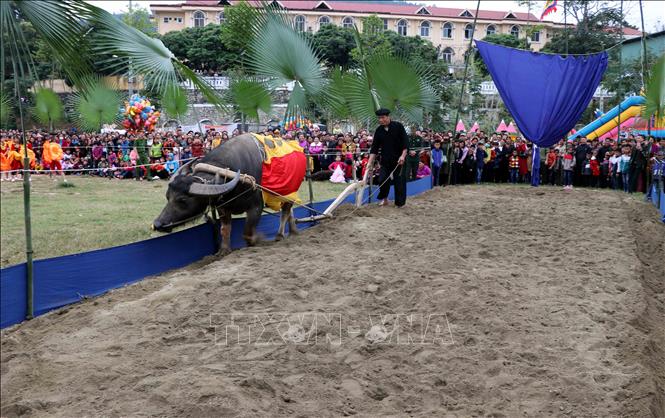 Trong ảnh: Nghi thức xuống đồng cày ruộng tại Lễ hội Lồng Tông. Ảnh: Quang Đán - TTXVN