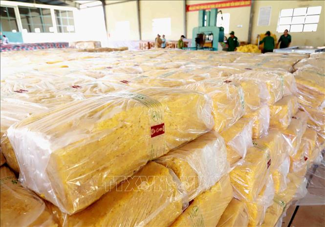 Trong ảnh: Sản phẩm cao su thành phẩm để xuất khẩu của Công ty TNHH Một thành viên Cao su Chư Păh, Gia Lai. Ảnh: Vũ Sinh - TTXVN