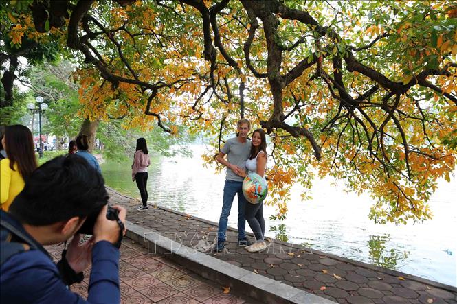 Trong ảnh: Du khách nước ngoài thích thú chụp ảnh với vẻ đẹp mùa thay lá trên hồ Gươm. Ảnh: Thành Đạt – TTXVN
