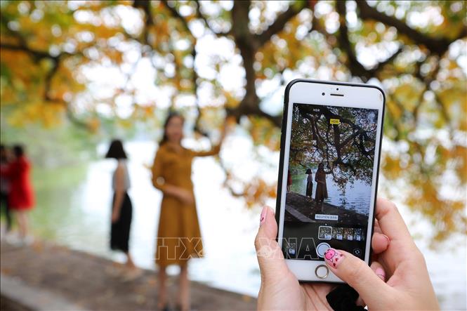 Trong ảnh: Các bạn trẻ ghi lại những khoảnh khắc đẹp mùa thay lá. Ảnh: Thành Đạt – TTXVN
