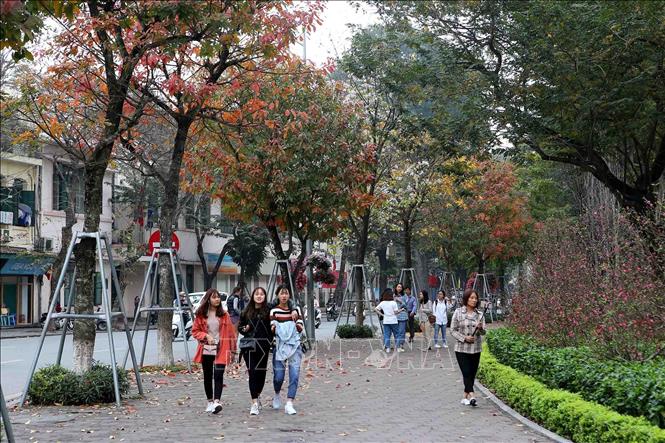 Trong ảnh: Vẻ đẹp mùa thay lá quanh hồ Gươm. Ảnh: Thành Đạt – TTXVN
