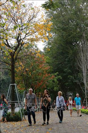 Trong ảnh: Du khách nước ngoài thích thú chụp ảnh với vẻ đẹp mùa thay lá trên hồ Gươm. Ảnh: Thành Đạt – TTXVN
