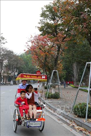 Trong ảnh: Các bạn trẻ ghi lại những khoảnh khắc đẹp mùa thay lá trên hồ Gươm. Ảnh: Thành Đạt – TTXVN
