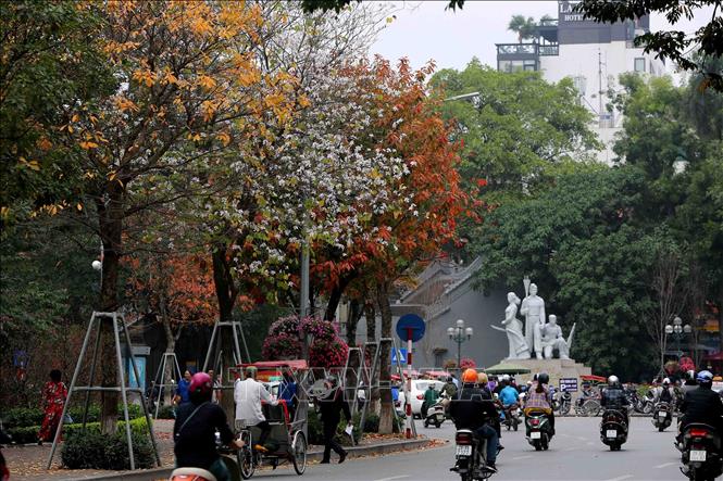 Trong ảnh: Vẻ đẹp mùa thay lá trên hồ Gươm. Ảnh: Thành Đạt – TTXVN
