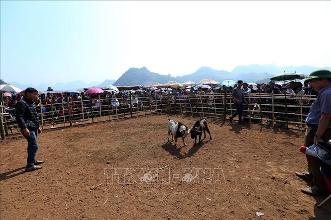 Trong ảnh: 