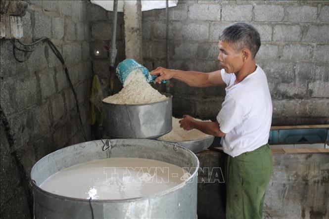 Trong ảnh:  Một hộ dân làm miến gạo tại làng nghề. Ảnh:Nguyễn Nam-TTXVN