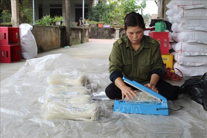 Trong ảnh: Sản xuất miến gạo giúp chị Lê Thị Thủy  thôn Tân Giao, xã Thăng Long thu nhập hơn 200 triệu/ năm. Ảnh: Nguyễn Nam-TTXVN