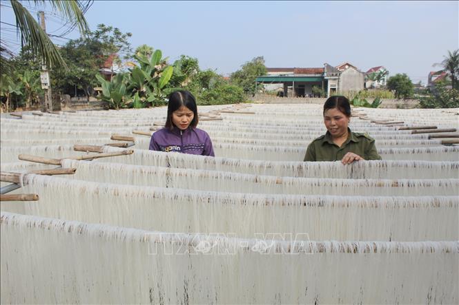 Trong ảnh: Xản xuất miến giạo đem lại cho chị Lê Thị Thủy (43 tuổi), thôn Tân Giao, xã Thăng Long thu nhập hơn 200 triệu/ năm. Ảnh:Nguyễn Nam-TTXVN