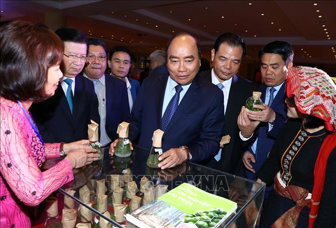 Trong ảnh: Thủ tướng Nguyễn Xuân Phúc thăm các gian trưng bày sản phẩm gỗ, lâm sản. Ảnh: Thống Nhất – TTXVN
