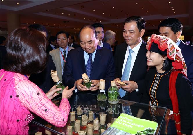 Trong ảnh: Thủ tướng Nguyễn Xuân Phúc thăm các gian trưng bày sản phẩm gỗ, lâm sản. Ảnh: Thống Nhất – TTXVN