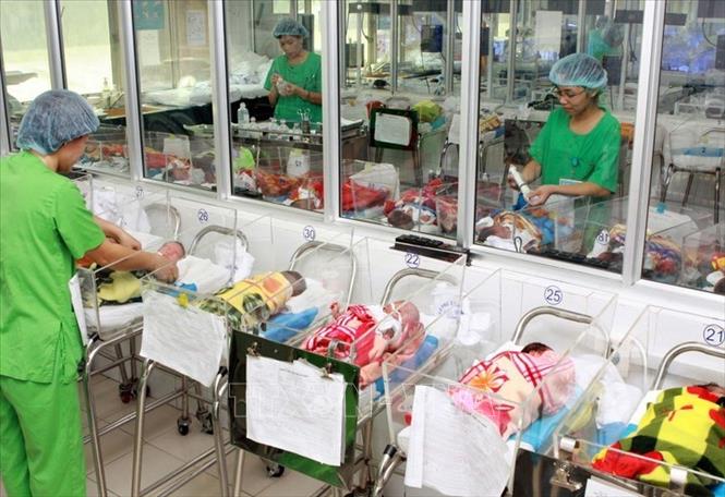 Trong ảnh: Chăm sóc trẻ sơ sinh tại Bệnh viện Phụ sản Trung ương. Ảnh: Dương Ngọc - TTXVN
