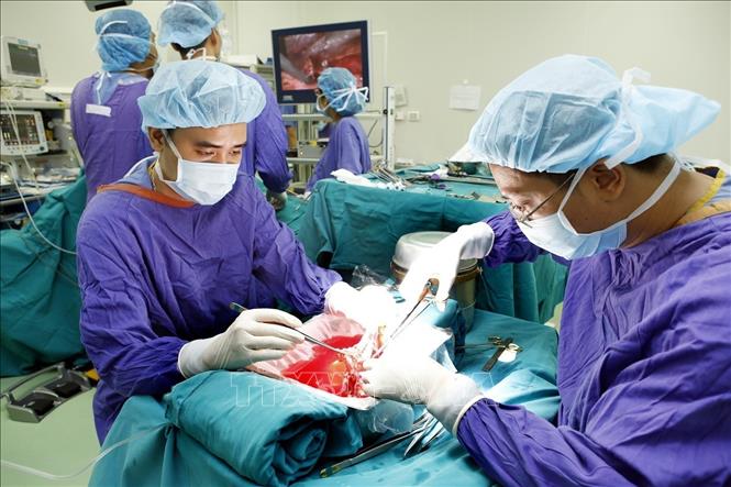 Trong ảnh: Ngày 16/10/2018, ngân hàng mô đầu tiên của Việt Nam đã khai trương tại Bệnh viện Việt Đức. Ngày 24/12, Bệnh viện Việt Đức và Bệnh viện Nhi đồng 2 chính thức thông báo đã ghép thành công 6 tạng (1 tim, 1 gan, 2 phổi, 2 thận) cho 5 bệnh nhân từ 1 người cho chết não. Ảnh: Dương Ngọc-TTXVN