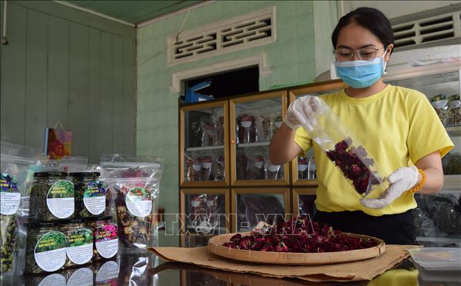 Trong ảnh : Lương Thị Diễm Trinh đóng gói trà được làm bằng các loại hoa. Ảnh: Chương Đài - TTXVN