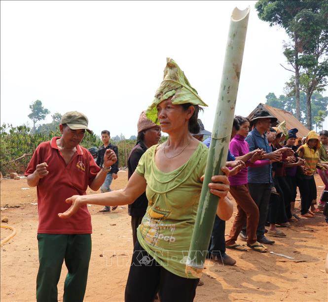 Trong ảnh: Gia đình có người chết ngồi khóc than, bà con dân làng nhảy múa xung quanh khu mộ được tổ chức lễ Pơ thi. Ảnh: Hồng Điệp - TTXVN