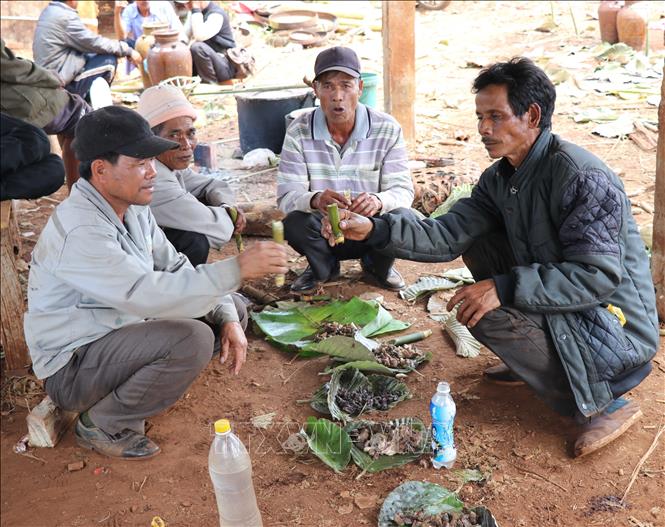 Trong ảnh: Bà con dân làng quây quần thành từng nhóm ăn uống, chuyện trò trong Lễ Pơ thi. Ảnh: Hồng Điệp - TTXVN