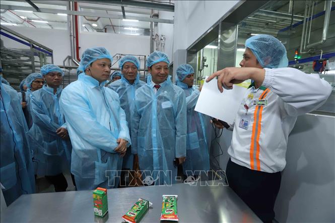 Trong ảnh: Giới thiệu quy trình chiết xuất và đóng gói sản phẩm thức uống dinh dưỡng lúa mạch MILO uống liền theo công nghệ khép kín của dây chuyền nhập khẩu từ châu Âu. Ảnh: Đinh Tuấn - TTXVN