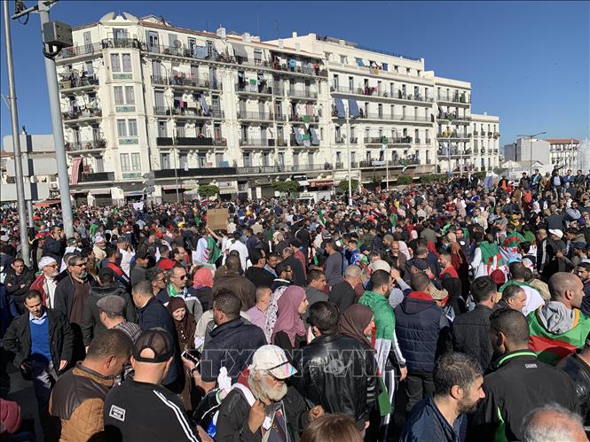 Trong ảnh: Biểu tình yêu cầu Tổng thống Abdelazizz Bouteflika chấm dứt việc kéo dài nhiệm kỳ 4 tại trung tâm thủ đô Algiers ngày 15/3. Ảnh: Tấn Đạt – Pv TTXVN tại Algeria