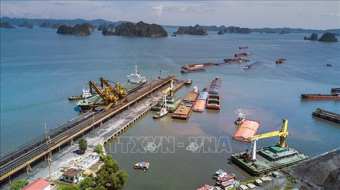 Photo: Selecting and pouring into ships at Cua Ong coal port in the northern province of Quang Ninh. VNA Photo: Trọng Đạt