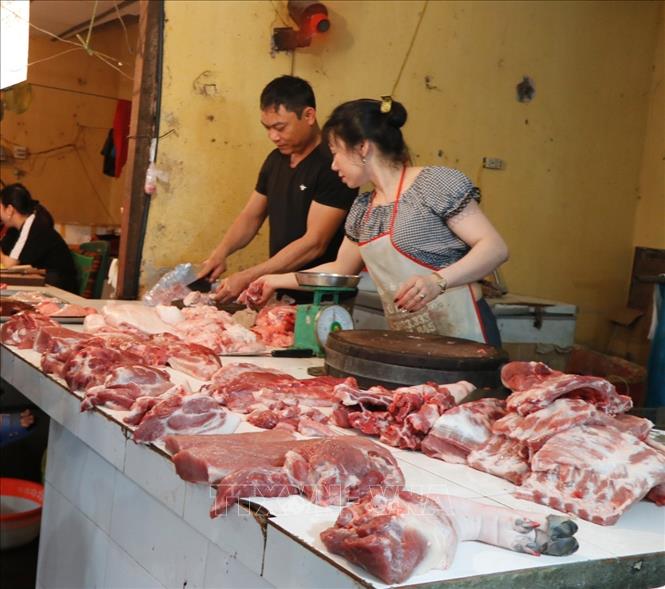 Yên Bái: Lượng tiêu thụ thịt lợn giảm do ảnh hưởng dịch tả lợn ...