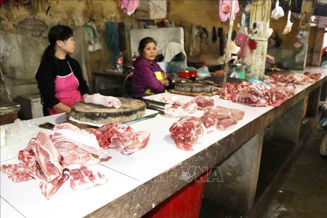 Yên Bái: Lượng tiêu thụ thịt lợn giảm do ảnh hưởng dịch tả lợn ...