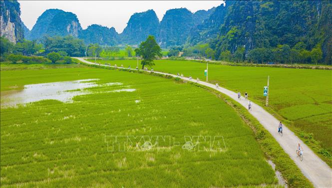 Photo: Tourists bike on a curvy road cutting through green paddy fields. VNA Photo: Minh Đức