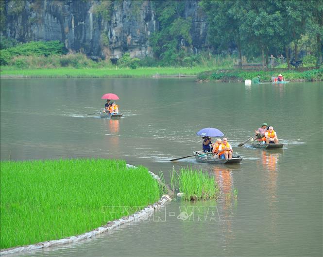 Photo: Tourists take boat rides on Ngo Dong river to experience the magnificent beauty of Tam Coc Bich Dong. VNA Photo: Minh Đức 