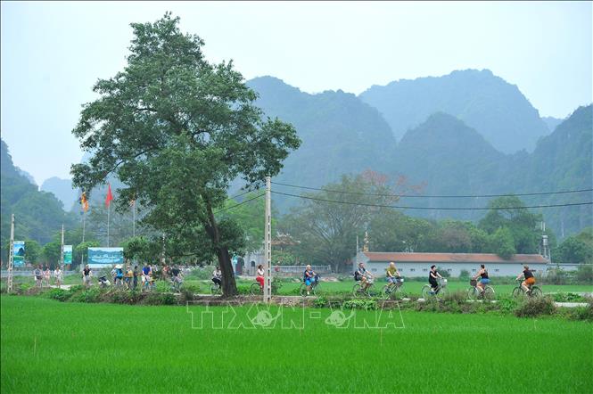 Photo: Tourists bike among green paddy fields. VNA Photo: Minh Đức