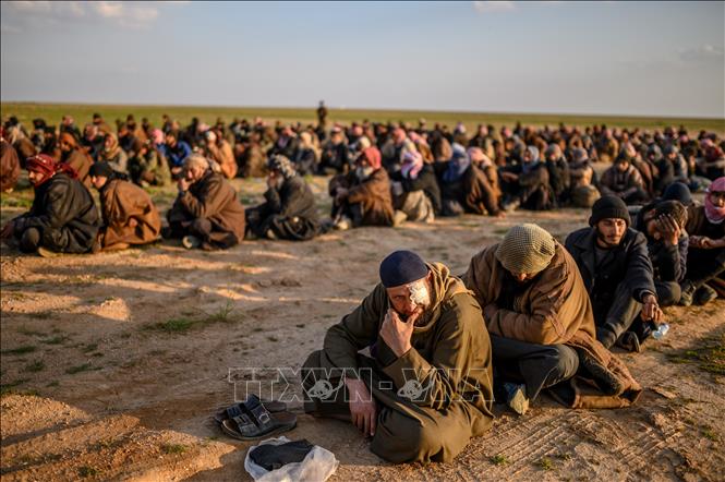 Trong ảnh (tư liệu): Các tay súng được cho là thành viên Tổ chức khủng bố Hồi giáo (IS) tự xưng đầu hàng Lực lượng  dân chủ Syria (SDF) tại thành trì ở làng Baghouz, miền Đông Syria. Ảnh: AFP/TTXVN