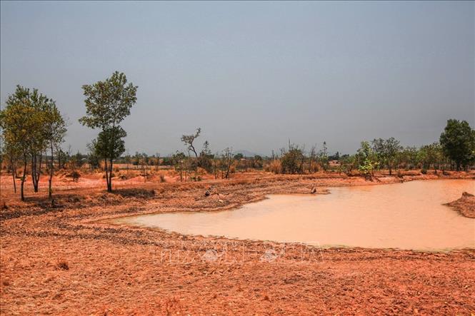 Trong ảnh: Mới giữa mùa khô nhưng các hồ chứa nước trên địa bàn xã Ea Rốk, huyện Ea Súp đã cạn dần trơ đáy. Ảnh: Trọng Đạt - TTXVN