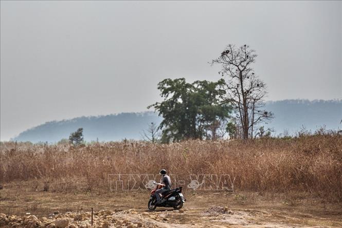 Trong ảnh: Một người đàn ông đi xe máy ngang qua cánh đồng hoa màu bị chết khô trên địa bàn huyện Krong Ana. Ảnh: Trọng Đạt - TTXVN
