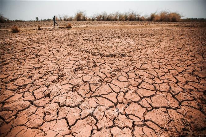 Trong ảnh: Những cánh đồng khô cằn, nứt nẻ xuất hiện ngày một nhiều trên khắp địa bàn các huyện của Đắk Lắk nói riêng và Tây Nguyên nói chung. Ảnh: Trọng Đạt - TTXVN