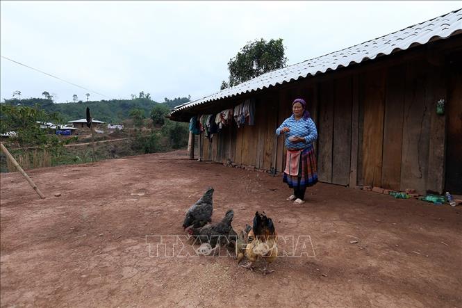 Trong ảnh: Nhiều hộ gia đình thoát nghèo nhờ các chương trình xóa đói giảm nghèo. Ảnh: Phan Tuấn Anh - TTXVN