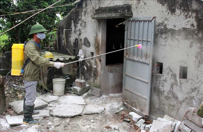 Trong ảnh: Tiêu hủy lợn ốm chết tại thôn Thượng Cầm, xã Vũ Lạc (địa phương  đầu tiên của thành phố Thái Bình xuất hiện dịch tả lợn Châu Phi) ngày 27/3/2019. Ảnh: Thế Duyệt - TTXVN 