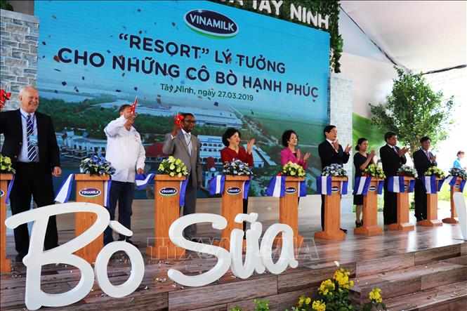 Trong ảnh: Bà Trương Thị Mai, Ủy viên Bộ Chính trị, Bí thư Trung Đảng, Trưởng Ban Dân vận Trung ương cùng các đại biểu cắt bang khánh thành trang trại bò sữa Vinamilk Tây Ninh. Ảnh: Lê Đức Hoảnh-TTXVN
