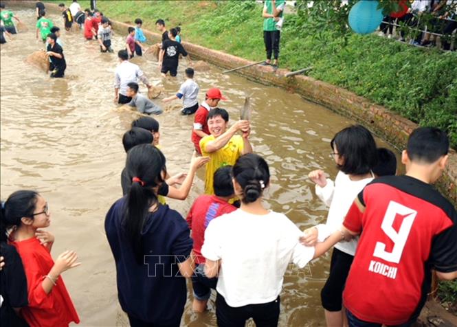 Trong ảnh: Giờ học ngoại khóa của học sinh Trường THCS Ngô Quyền (Hà Nội) tại Trang trại Hải Đăng. Ảnh: Anh Tuấn – TTXVN