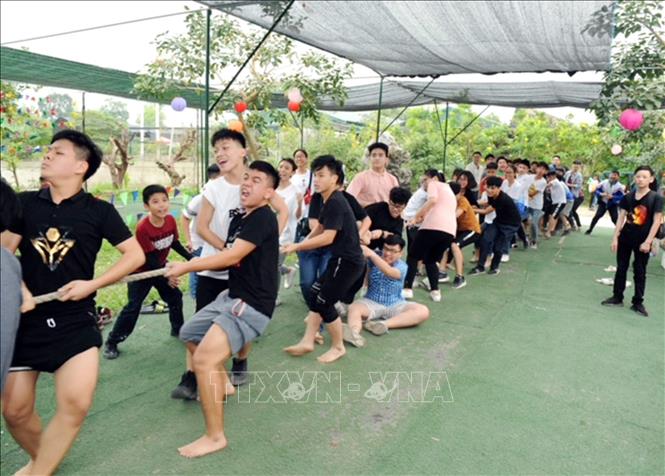 Trong ảnh: Giờ học ngoại khóa của học sinh Trường THCS Ngô Quyền (Hà Nội) tại Trang trại Hải Đăng. Ảnh: Anh Tuấn – TTXVN
