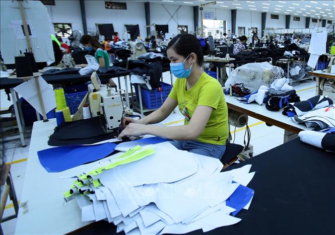 Trong ảnh: Sản xuất các mặt hàng may mặc xuất khẩu tại Công ty TNHH Kydo Việt Nam có vốn đầu tư Hàn Quốc  (Khu công nghiệp Phố nối A, Hưng Yên). Ảnh: Phạm Kiên - TTXVN