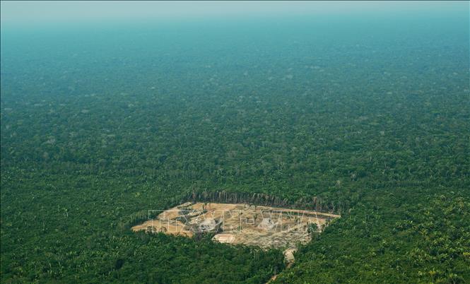 Trong ảnh (tư liệu): Khoảng rừng bị chặt phá ở khu vực Tây Amazon, Brazil, ngày 22/9/2017. Ảnh: AFP/ TTXVN