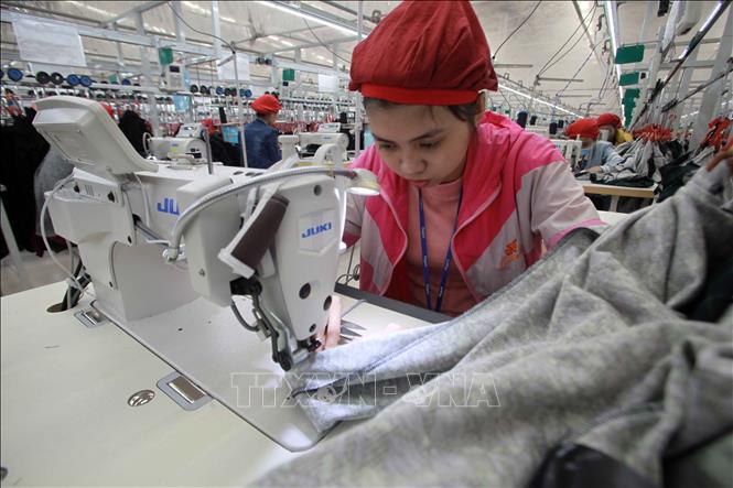 NHÂN VIÊN ĐÁNH GIÁ MÔI TRƯỜNG LÀM VIỆC TINH LỢI CHUYÊN NGHIỆP