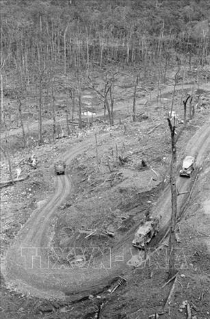 Trong ảnh: Đường Trường Sơn - con đường mang tên Bác Hồ vĩ đại, trong mọi hoàn cảnh chiến tranh ác liệt vẫn luôn là mạch máu nối liền hai miền Nam, Bắc, gắn liền với tên tuổi vị tướng Đồng Sĩ Nguyên. Ảnh: TTXVN