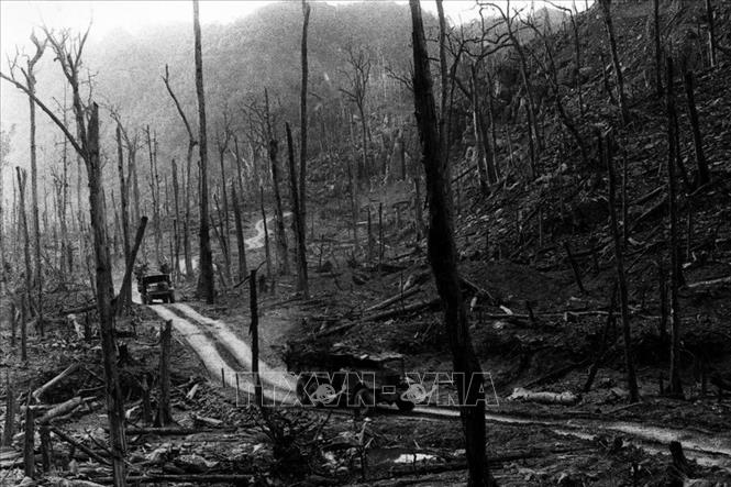 Trong ảnh: Đường Trường Sơn ra tiền tuyến trong những năm tháng bị máy bay Mỹ liên tiếp đánh phá. Thời gian Trung tướng Đồng Sĩ Nguyên đảm nhận vị trí Tư lệnh Bộ đội Trường Sơn - Đoàn 559 (1967-1975) là giai đoạn ác liệt của cuộc chiến tranh. Từ những con đường mòn nhỏ, đường Hồ Chí Minh đã phát triển thành tuyến vận tải lớn để vận chuyển quân lương, vũ khí chi viện cho chiến trường lớn miền Nam. Ảnh: Văn Sắc-TTXVN