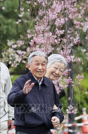 Trong ảnh: Nhật hoàng Akihito  và Hoàng hậu Michiko ngắm hoa anh đào nở rộ tại Hoàng Cung ở Tokyo ngày 7/4. Ảnh: AFP/TTXVN