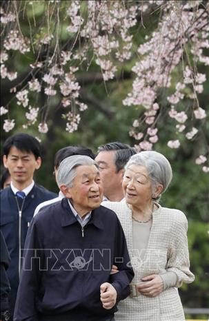 Trong ảnh: Nhật hoàng Akihito  và Hoàng hậu Michiko ngắm hoa anh đào nở rộ tại Hoàng Cung ở Tokyo ngày 7/4. Ảnh: AFP/TTXVN