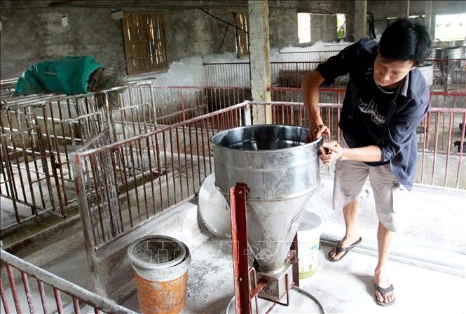 Trong ảnh: Anh Đỗ Văn Trưởng, thôn Duyên Hà, xã Đông Kinh, huyện Đông Hưng, tỉnh Thái Bình dọn dẹp lại chuồng trại chuẩn bị cho công tác chăn nuôi. Ảnh: Thế Duyệt - TTXVN 