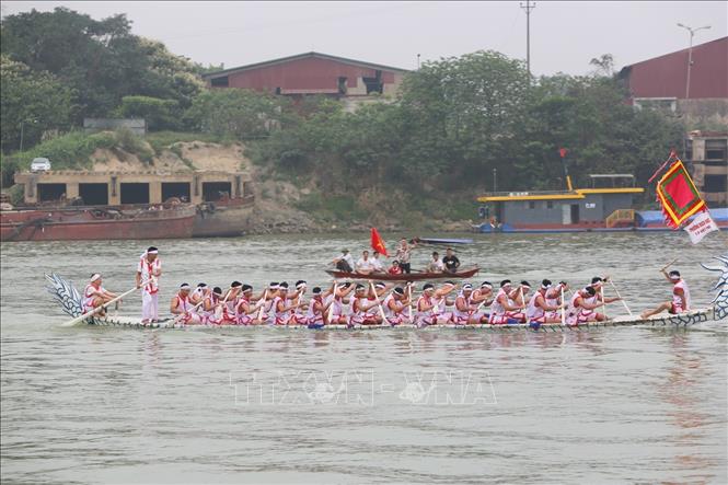 Trong ảnh: Đội thuyền xã Bạch Hạc, thành phố Việt Trì. Ảnh: Thành Đạt - TTXVN