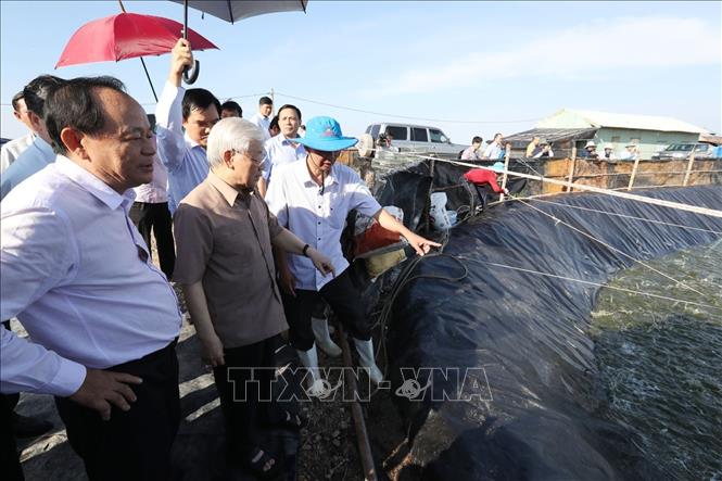 vna_potal_kien_giangtong_bi_thu_chu_tich_nuoc_nguyen_phu_trong_tham_khu_nuoi_tom_cong_nghiep_ung_dung_cong_nghe_cao_cua_cong_ty_co_phan_trung_so_stand.jpg